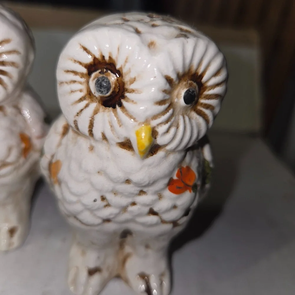 Vintage Ceramic Owl Salt+Pepper Shaker - Hand-painted Floral and Feathers
